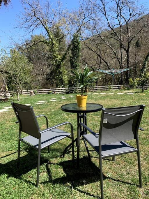 Studio Calme Et Agreable Avec Acces Jardin Partage Le Bar-sur-Loup Eksteriør billede