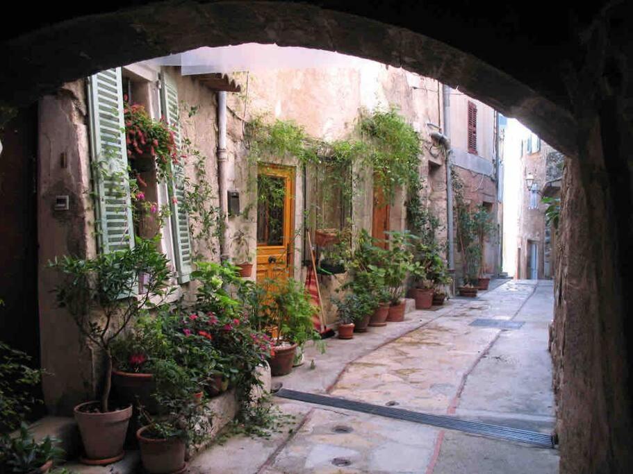 Studio Calme Et Agreable Avec Acces Jardin Partage Le Bar-sur-Loup Eksteriør billede